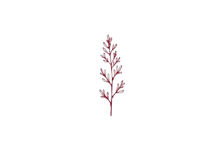 Croatian Wedding Rosemary Pins — Ružmarin